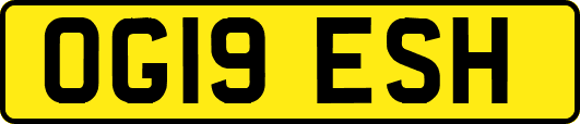 OG19ESH