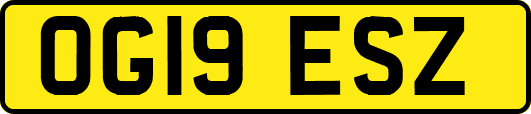 OG19ESZ
