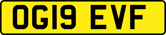 OG19EVF