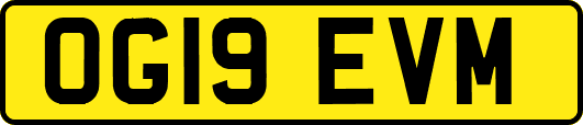 OG19EVM