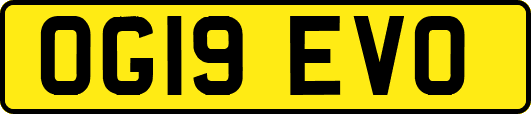 OG19EVO