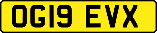 OG19EVX