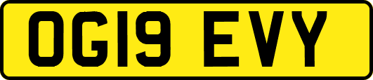 OG19EVY