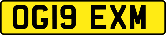 OG19EXM