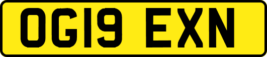 OG19EXN
