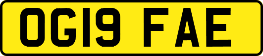 OG19FAE