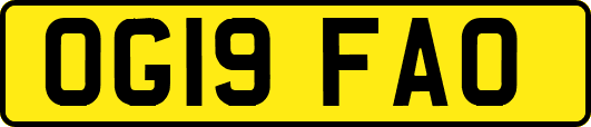 OG19FAO