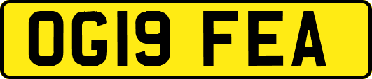 OG19FEA