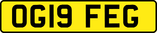 OG19FEG