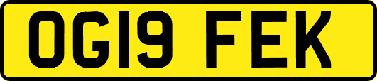 OG19FEK