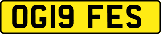 OG19FES