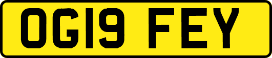 OG19FEY