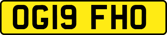 OG19FHO