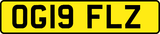 OG19FLZ