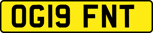 OG19FNT