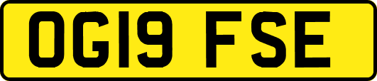 OG19FSE