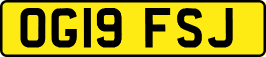 OG19FSJ