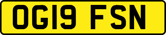 OG19FSN