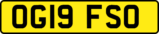 OG19FSO
