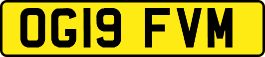 OG19FVM