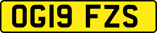 OG19FZS