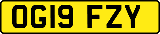 OG19FZY