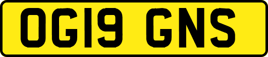 OG19GNS