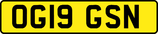 OG19GSN