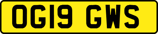 OG19GWS