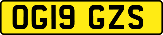 OG19GZS