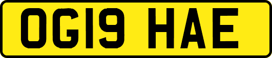 OG19HAE