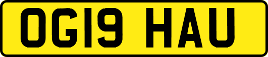 OG19HAU