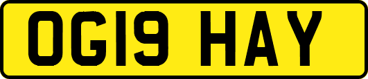 OG19HAY