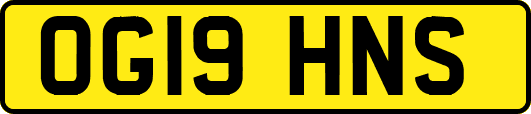 OG19HNS