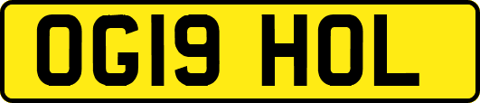 OG19HOL
