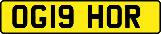 OG19HOR