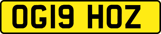 OG19HOZ