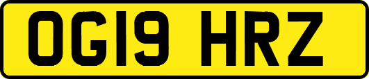 OG19HRZ