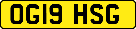 OG19HSG