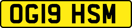 OG19HSM