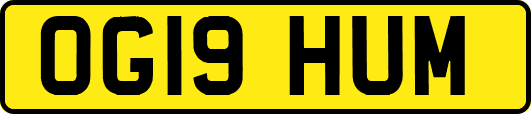 OG19HUM