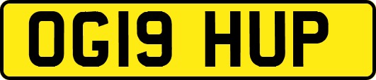 OG19HUP