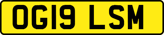 OG19LSM