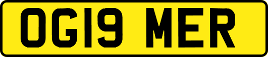 OG19MER