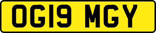OG19MGY