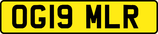 OG19MLR