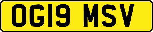 OG19MSV