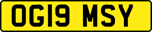 OG19MSY