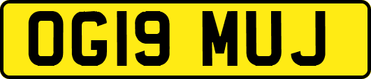 OG19MUJ