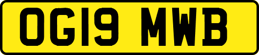 OG19MWB